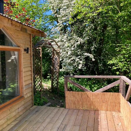 Honey Bee Cabin Llandysul Ngoại thất bức ảnh