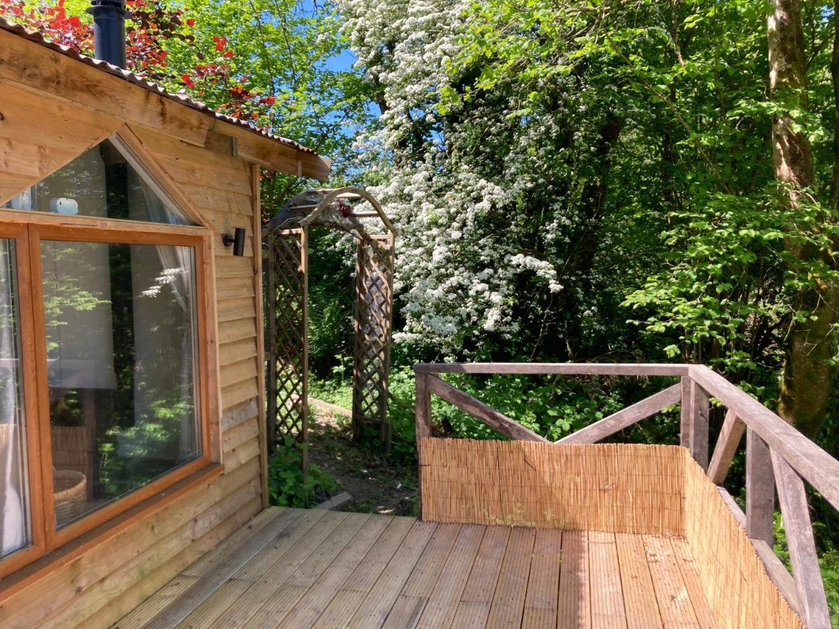 Honey Bee Cabin Llandysul Ngoại thất bức ảnh