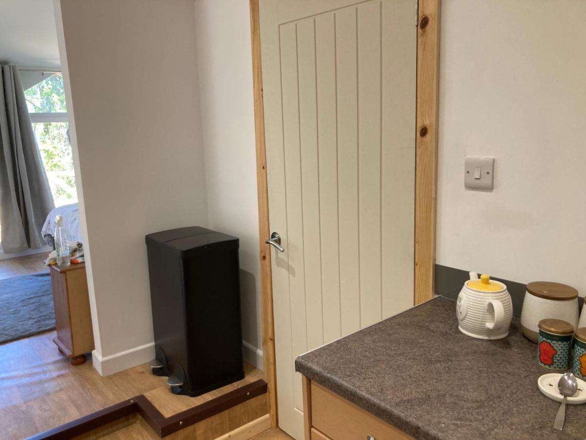 Honey Bee Cabin Llandysul Ngoại thất bức ảnh